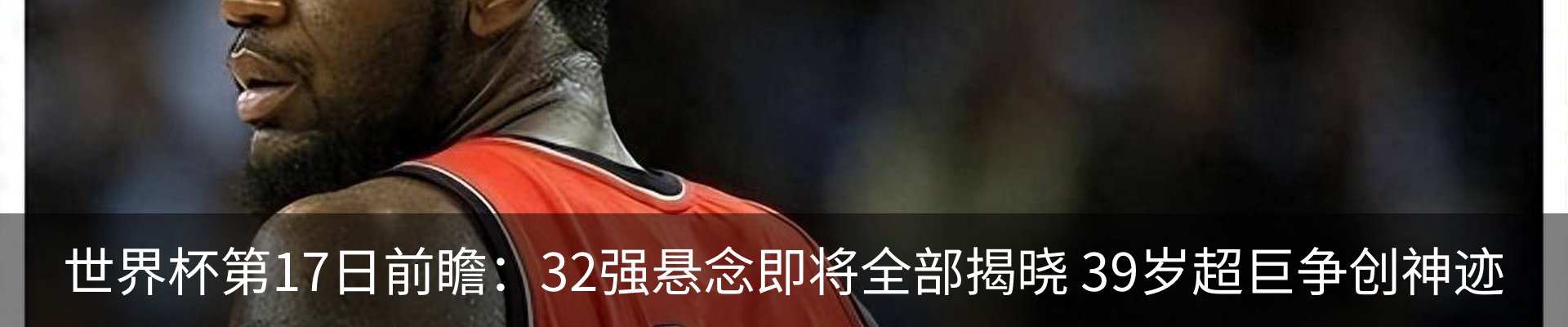 新闻动态