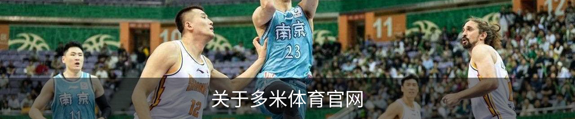 关于多米体育官网