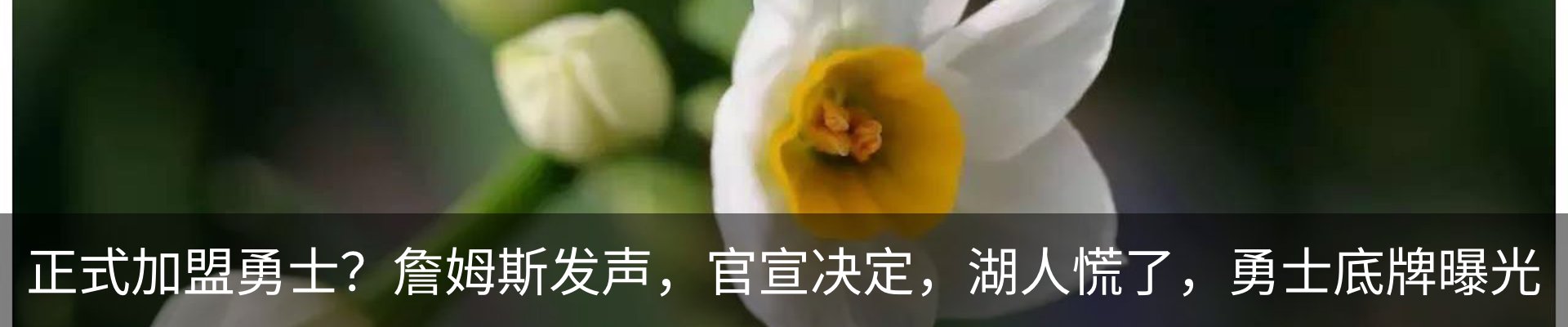 新闻动态