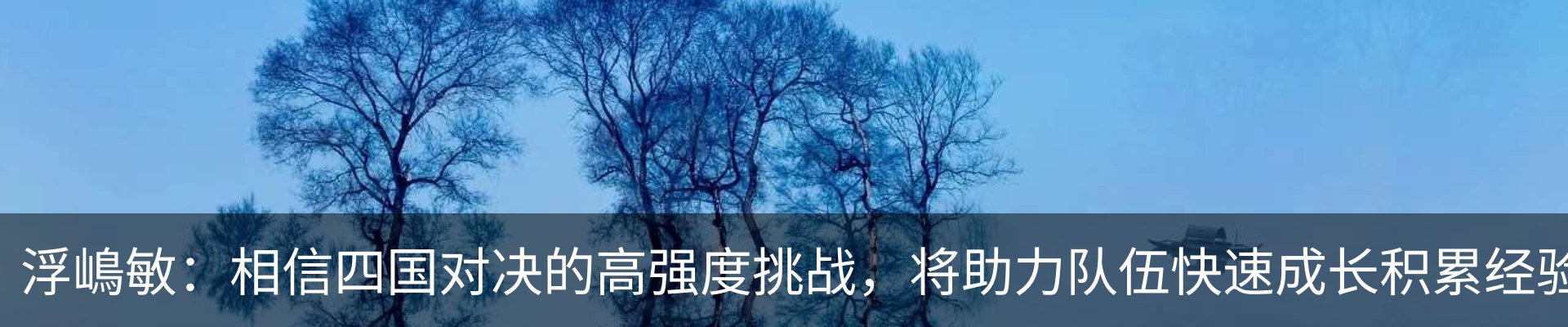 新闻动态