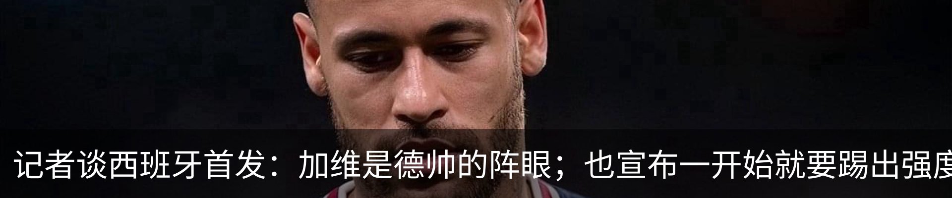 新闻动态
